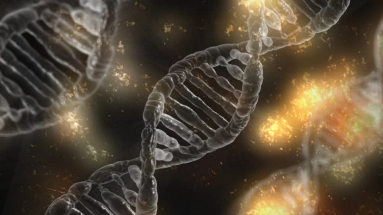 🧬Epigenetik: Dein Verhalten beeinflusst deine Gene!