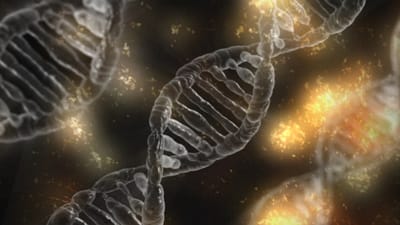 🧬Epigenetik: Dein Verhalten beeinflusst deine Gene!