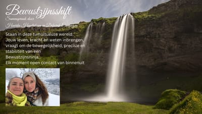 Bewustzijnsninja