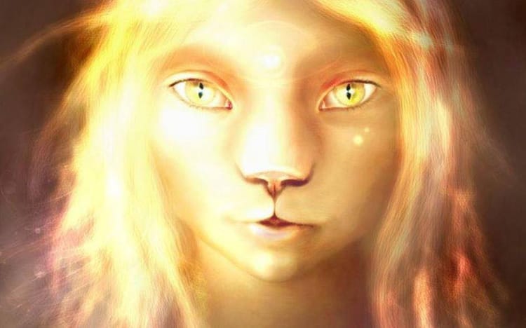 Feline